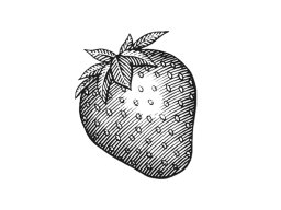 Strawberry Icon